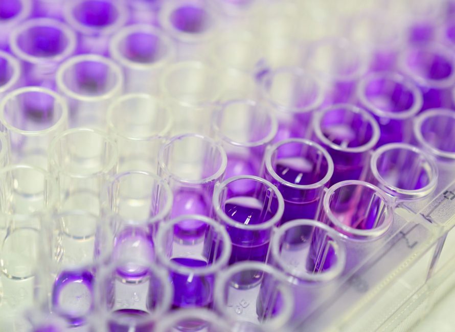 BioAssays in vitro