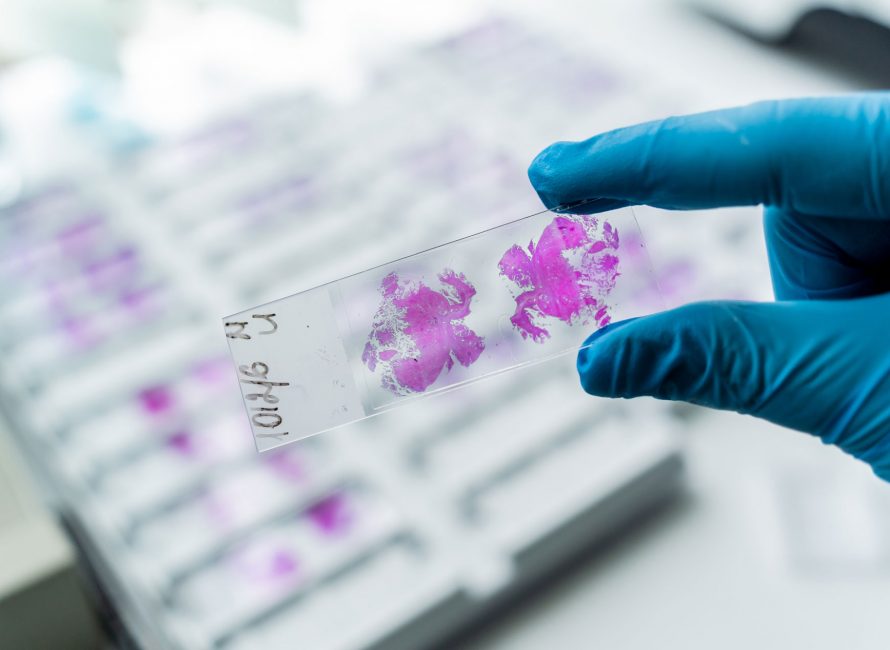 BioAssays in vivo