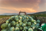 Datenlogger-Anwendung in der Lebensmittelindustrie