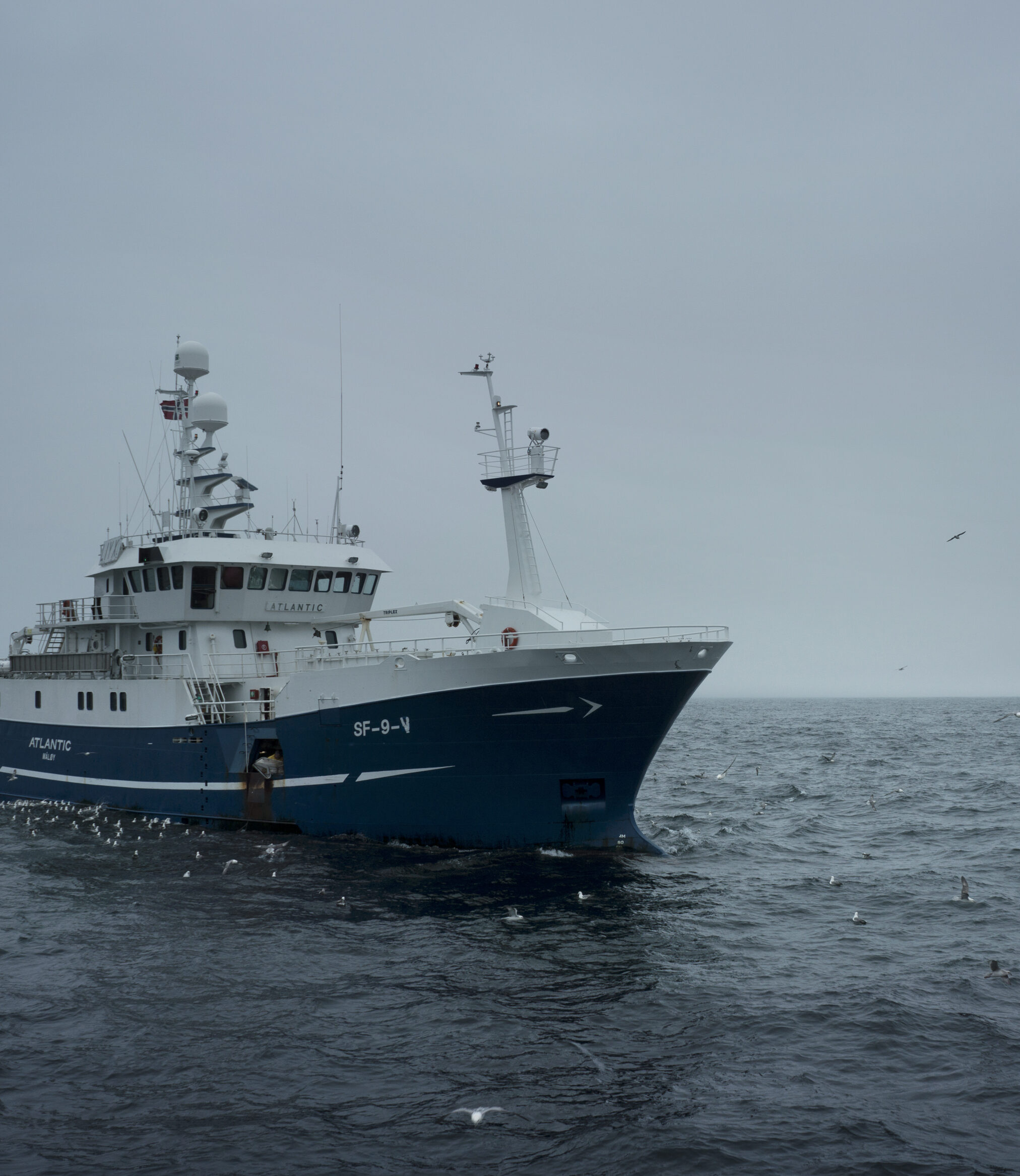 Fischerboot auf See – Beschaffung weltweit