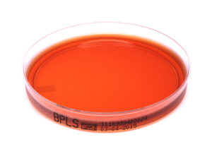 BPLS-Agar