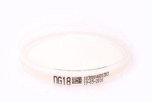 DG18-Agar mit Chloramphenicol