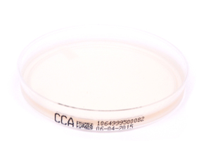 CCA (CCD-Agar)