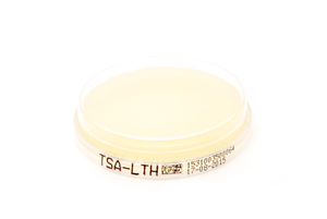 Abklatschplatte Caseinpepton-Sojamehlpepton-Agar (TSA-LTH)