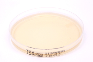 TSA (Trypton-Soja-Agar)