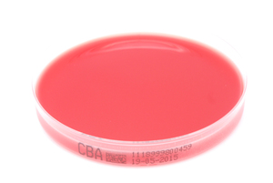 CBA (Columbia-Blut-Agar)