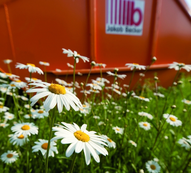 Containerdienst (Absetz- und Abrollcontainer)