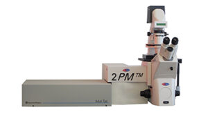 Multiphoton-Tomographie – Anwendungsansicht