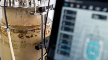 Biopolymer-Formteil