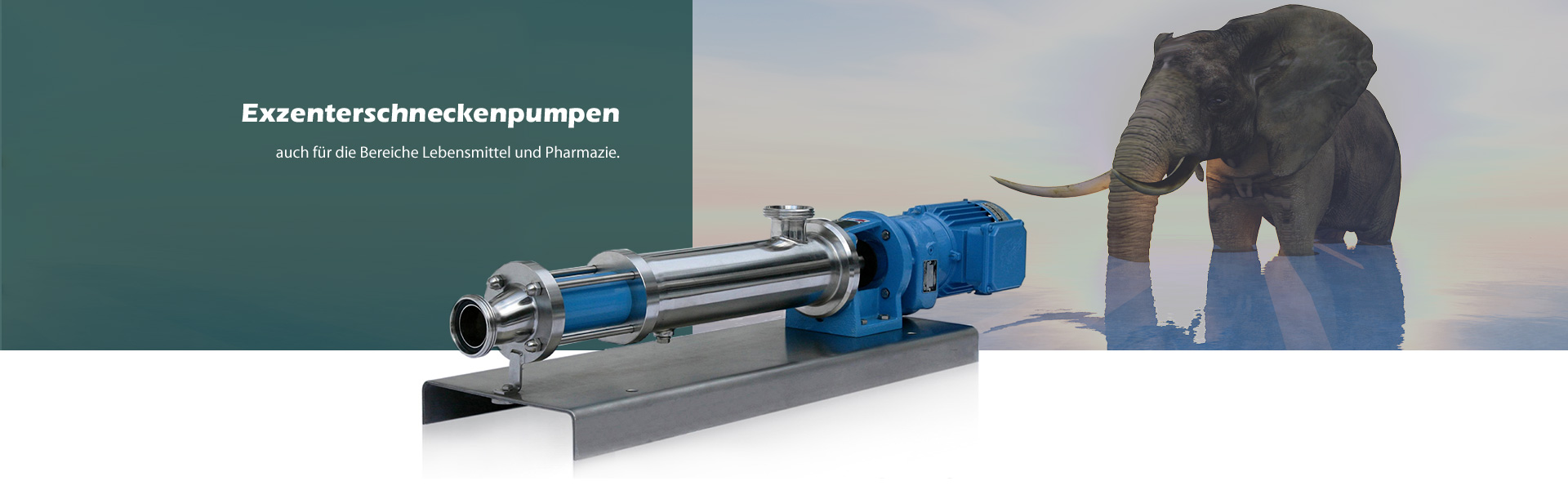 Exzenterschneckenpumpe