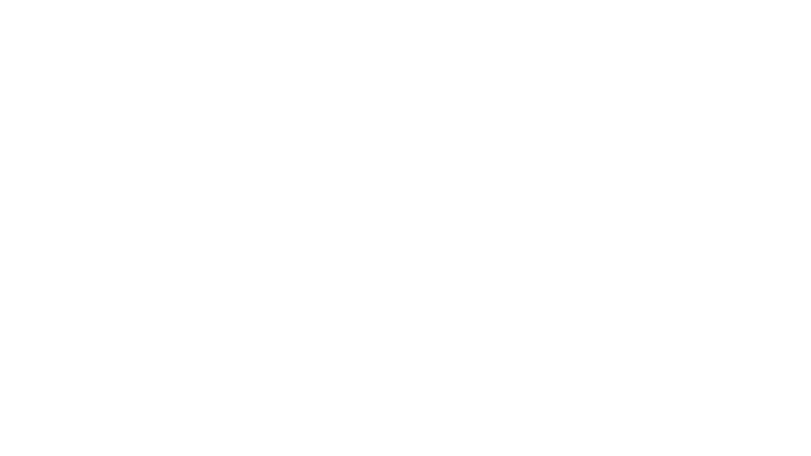 Global Project Coordination