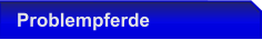 Problempferdetraining