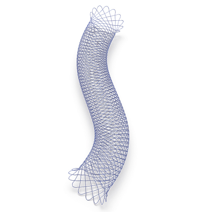 ACCERO® Rex Stent