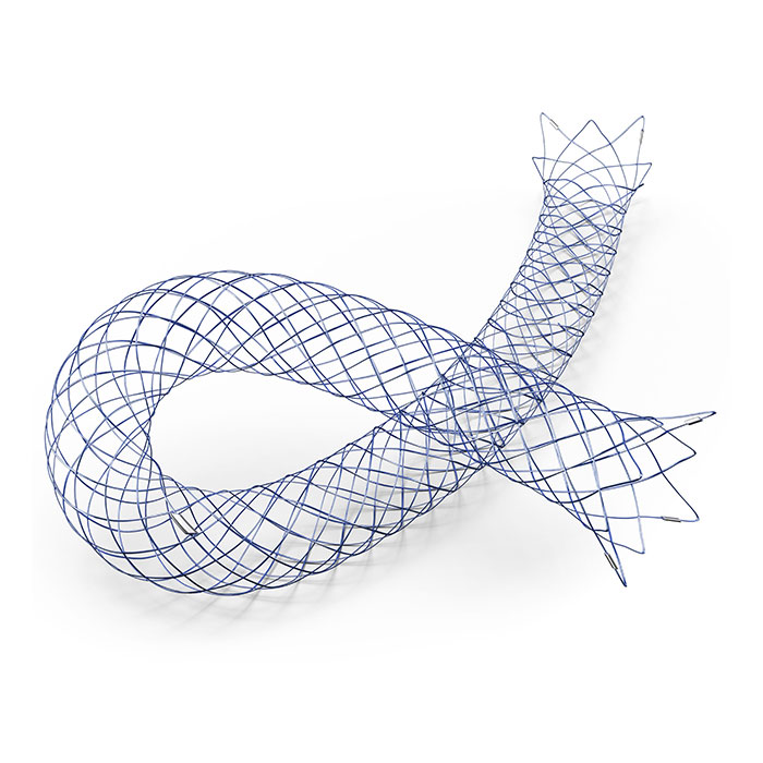 ACCERO® Stent