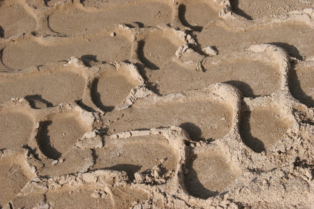 Natursand 0/2 und Kiessplitt 5/32 (EN 13043)
