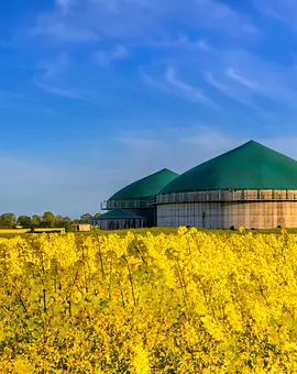 Green Energy Solutions