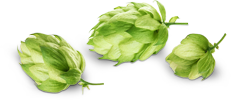 Brauerei Sauer – Fertigung