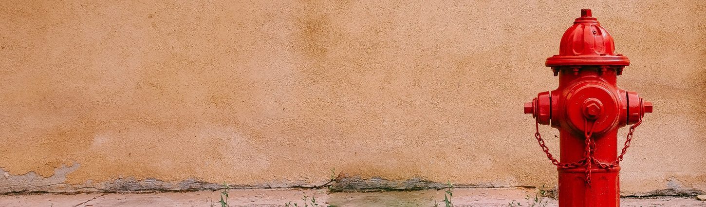 Hydrant – Vorbereitung auf den Löschtrainings-Einsatz