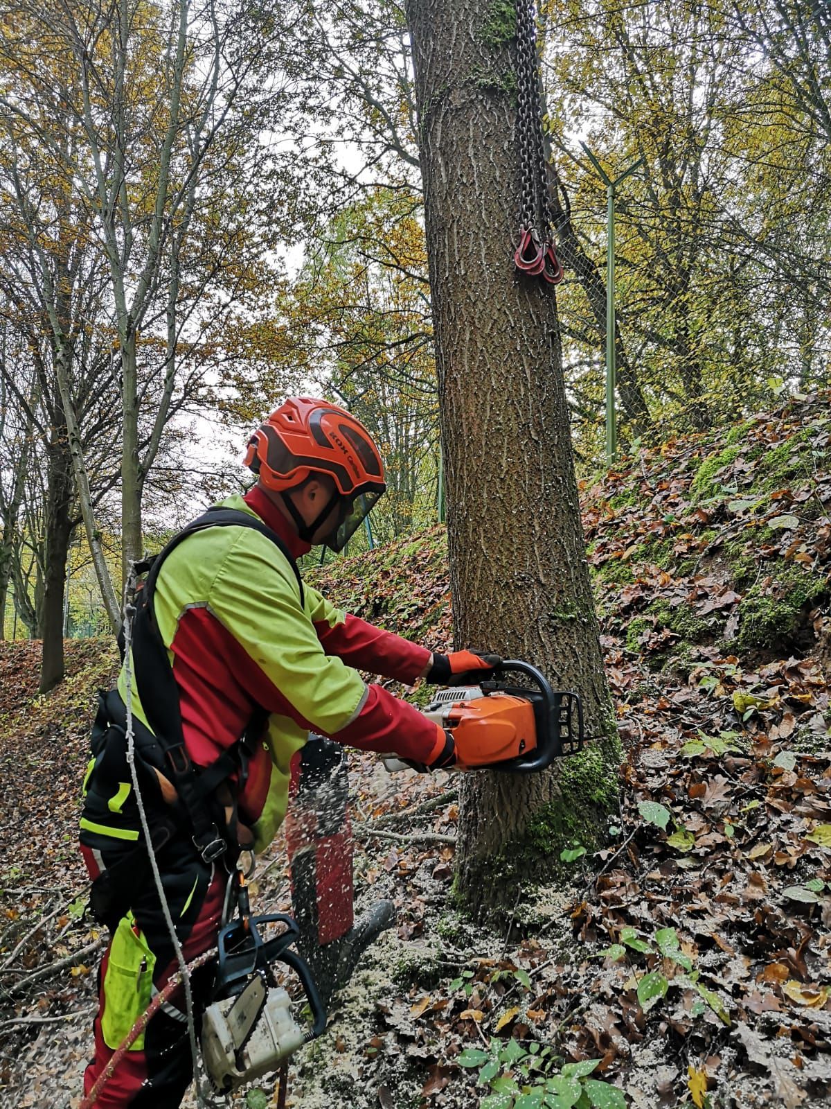 Baumarbeiten
