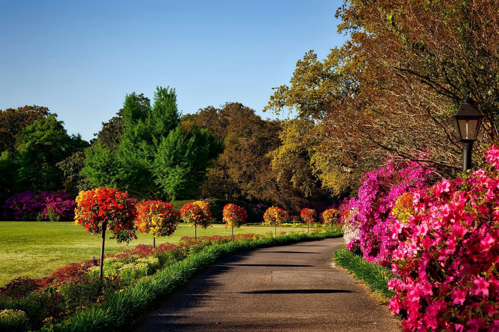 Gestaltete Gartenlandschaft