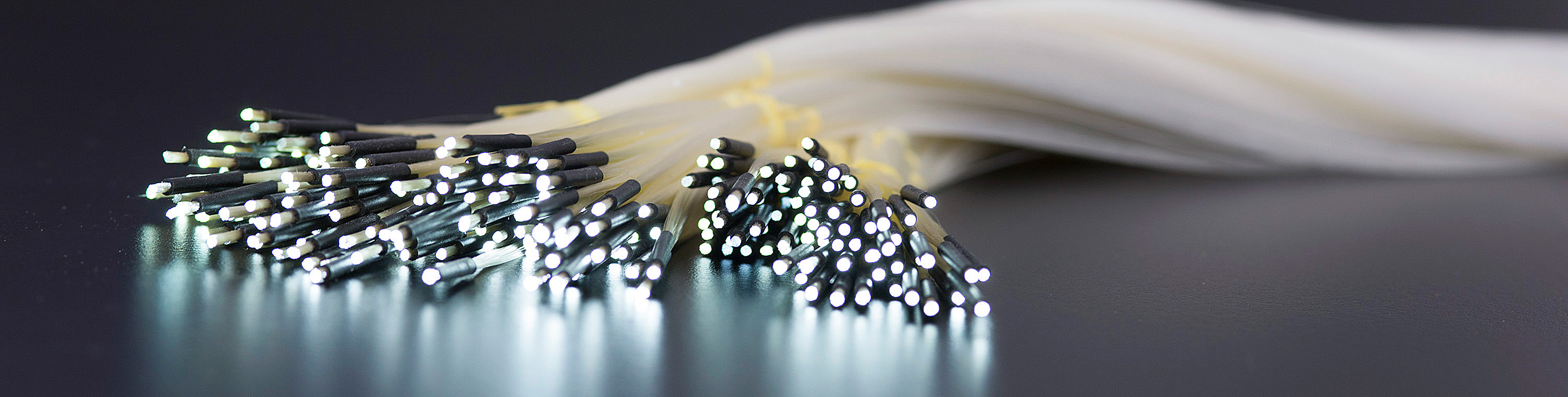 FiberOptic P. + P. AG – Fertigung