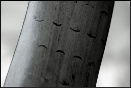 Black-Shark®-Technologie