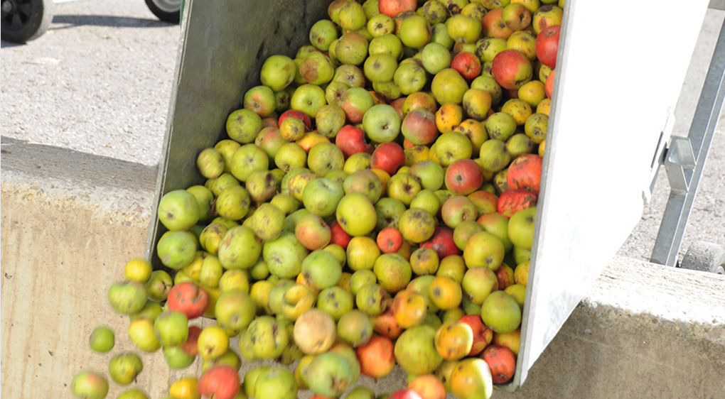 Obstannahme