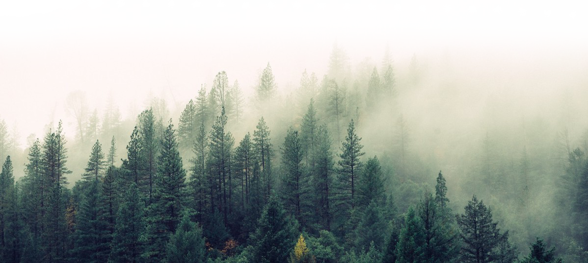 Naturelement