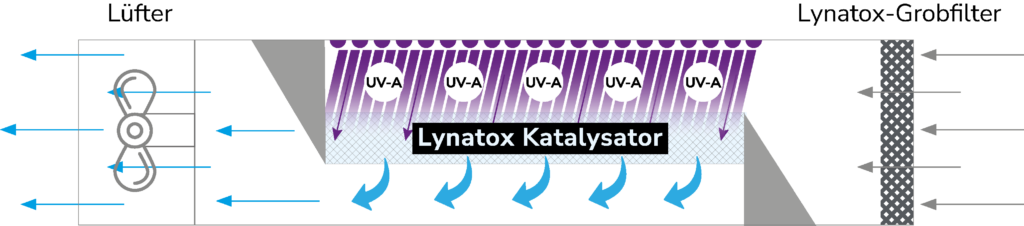 Luftwegschema des Lynatox Luftreinigers: Lüfter, Katalysator mit UV-A-Licht und