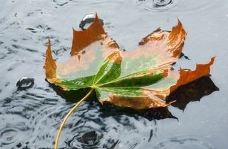 Regenspeicher 2-Behälter-Anlage und Filterschacht