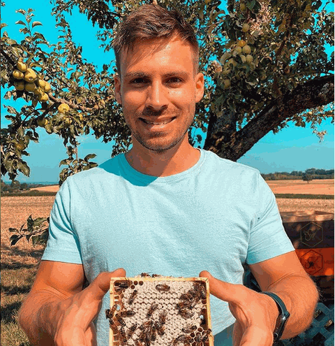 Bee Nutrition