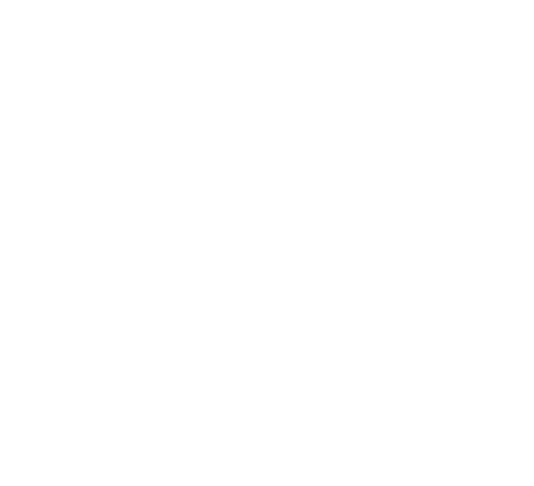 Entwicklung kundenspezifischer Anzeigesysteme