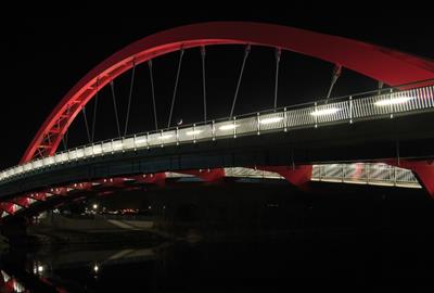 Protective tube luminaire