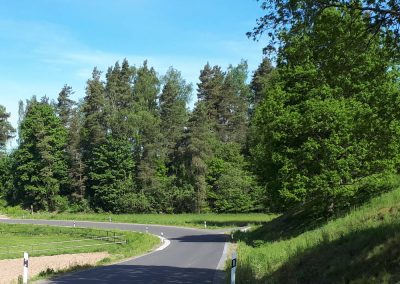 Gemeindeverbindungsstraße Pleisdorf