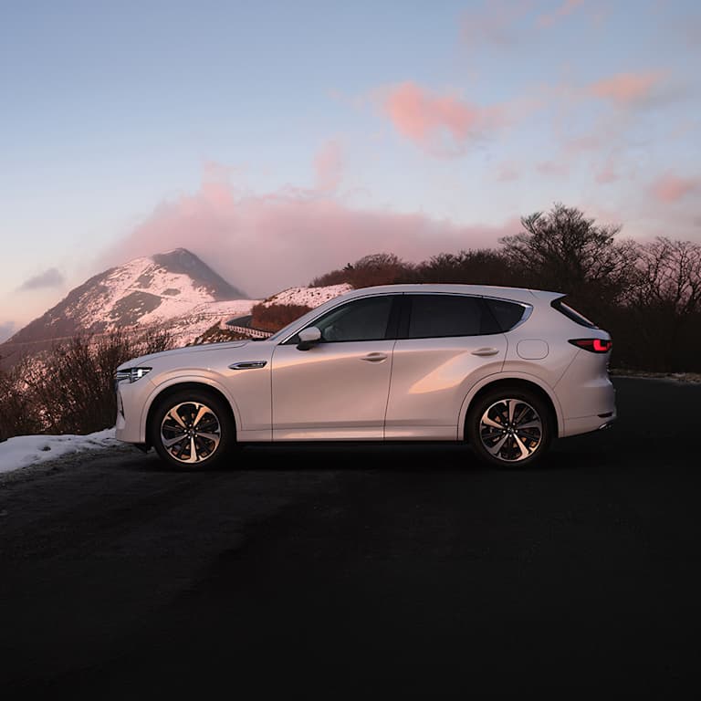 Mazda Wintercheck