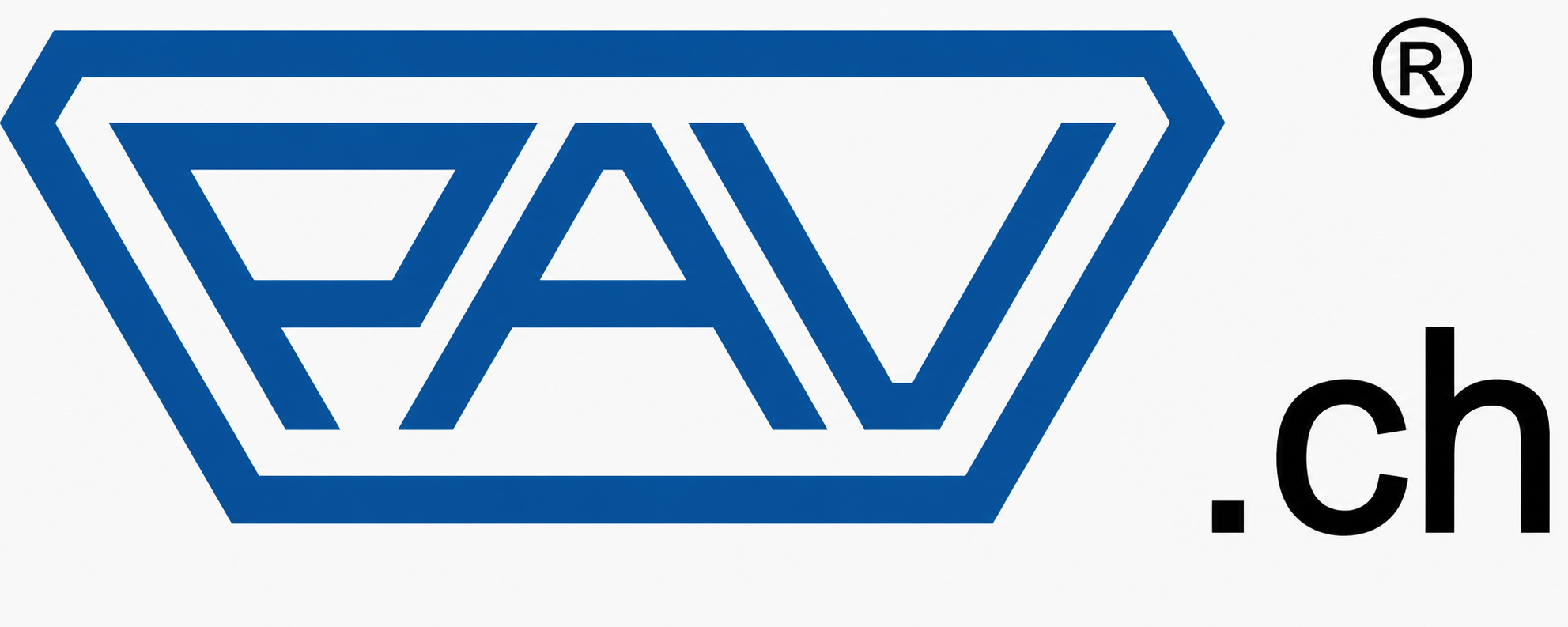 Logo PAV Präzisionsteile Deutschland GmbH / PAV Präzisions-Apparatebau-Schweiz GmbH