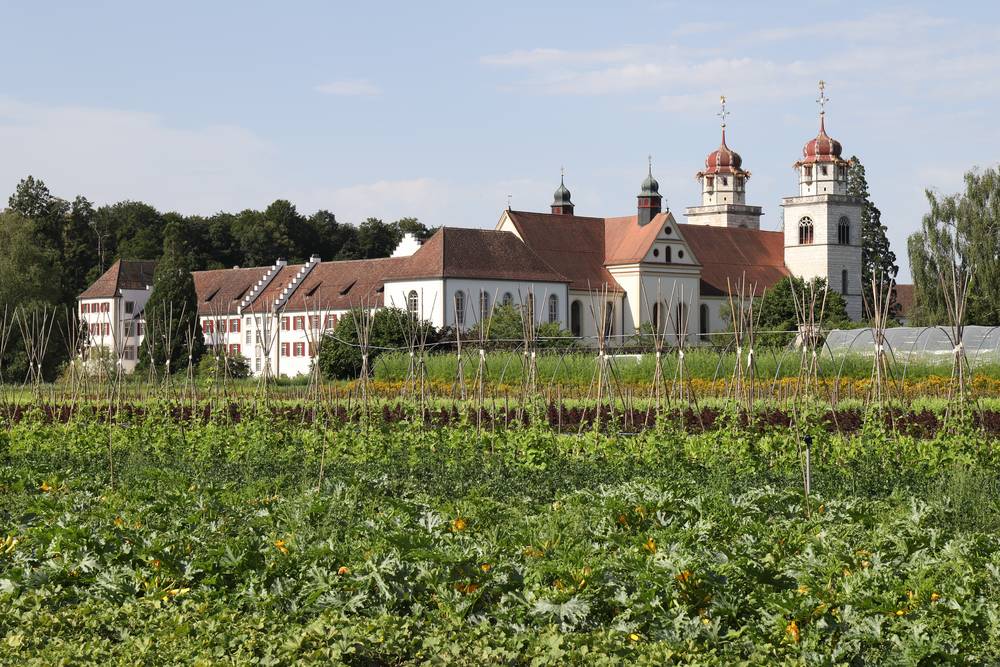 Sativa Rheinau – Fertigung