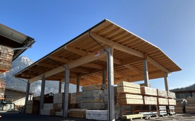 Neue Lagerhalle für ca. 2.500 m³ Schnittholz, 2023