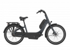 Gazelle Easyflow C8 HMS E-Bike, Tiefeinsteiger