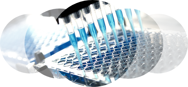 Nach ISO 17025 akkreditierte Prüflabore