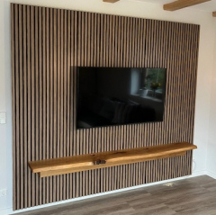 Fernsehwand