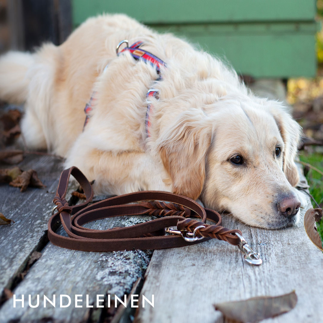 Hundeleinen