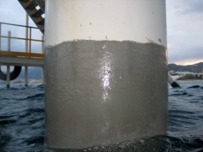 Repariertes Plattformbein mit Belzona 5831 (ST-Barrier)