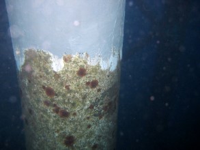 Korrodiertes Plattformbein unter Wasserlinie