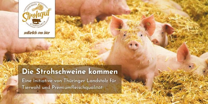SB-Fleisch und Grillconvenience