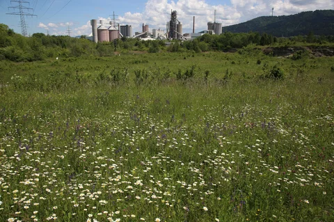 Energiegewinnung und Rohstoffnutzung Ölschiefer