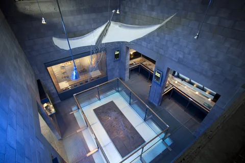Fossilienfundstelle im Ölschiefer (Flugsaurier)