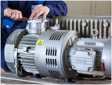 Gear motor