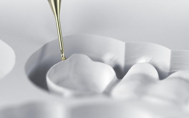Zirkon-Restauration