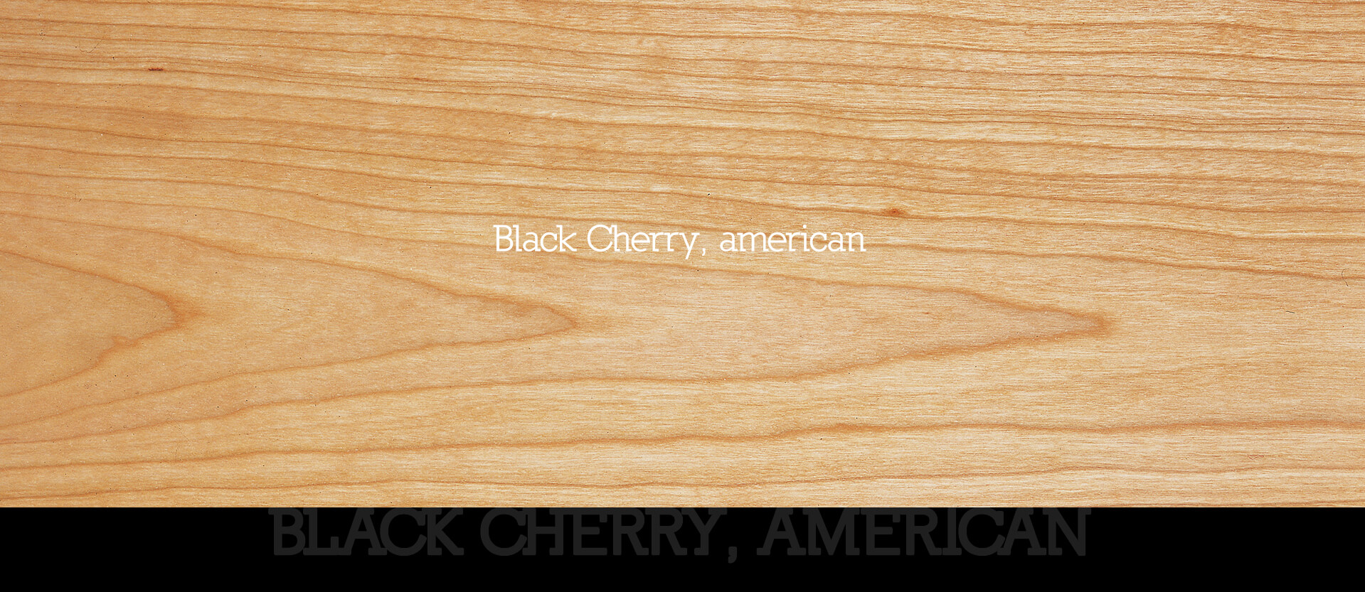 Amerikanische Black Cherry (Kirsche)